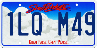 SD license plate 1LQM49