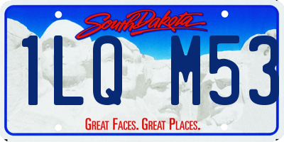 SD license plate 1LQM53