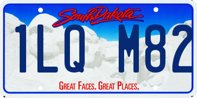 SD license plate 1LQM82