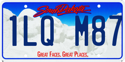SD license plate 1LQM87