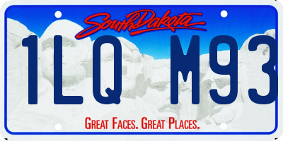 SD license plate 1LQM93
