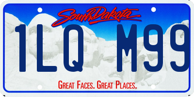 SD license plate 1LQM99
