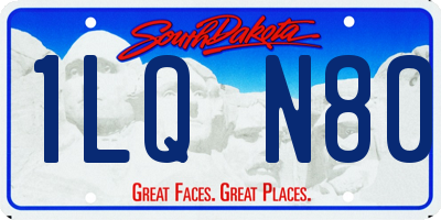 SD license plate 1LQN80