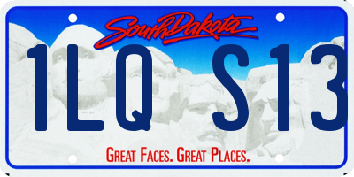 SD license plate 1LQS13