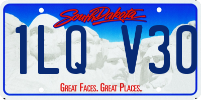 SD license plate 1LQV30