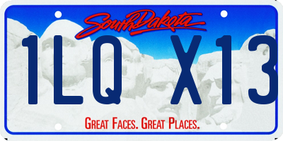 SD license plate 1LQX13