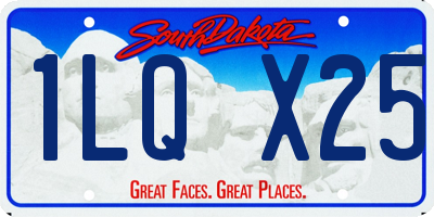 SD license plate 1LQX25
