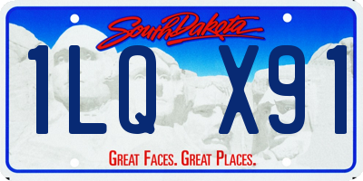 SD license plate 1LQX91