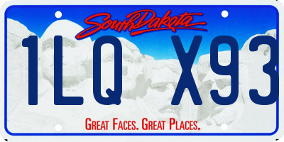 SD license plate 1LQX93