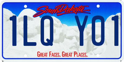 SD license plate 1LQY01