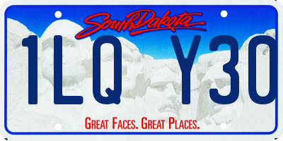 SD license plate 1LQY30