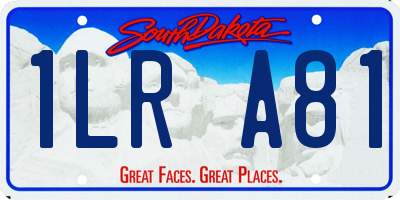 SD license plate 1LRA81