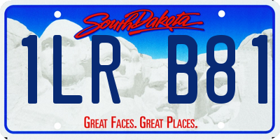 SD license plate 1LRB81