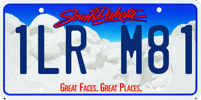 SD license plate 1LRM81