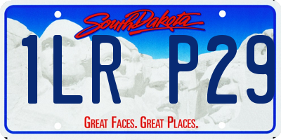SD license plate 1LRP29