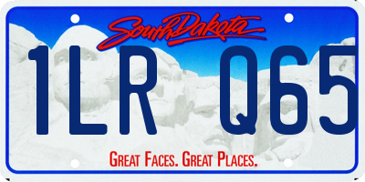 SD license plate 1LRQ65
