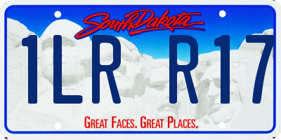 SD license plate 1LRR17