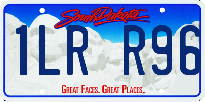 SD license plate 1LRR96