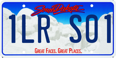 SD license plate 1LRS01
