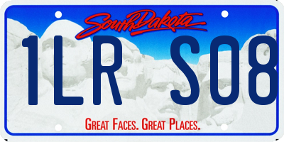 SD license plate 1LRS08