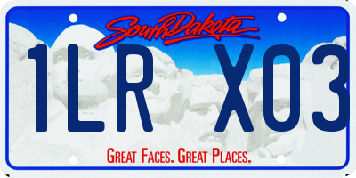 SD license plate 1LRX03