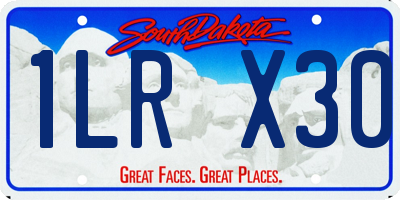 SD license plate 1LRX30