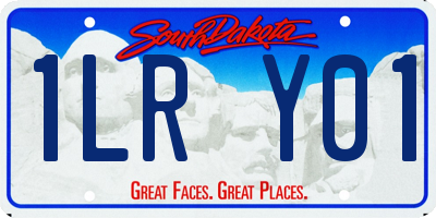 SD license plate 1LRY01