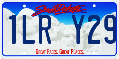 SD license plate 1LRY29