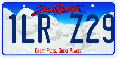 SD license plate 1LRZ29