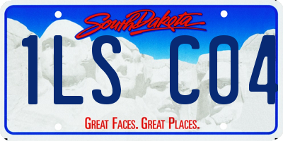 SD license plate 1LSC04