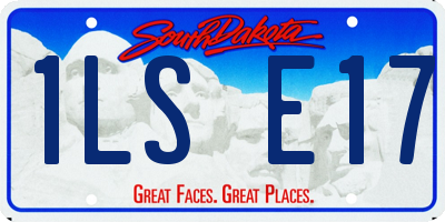 SD license plate 1LSE17