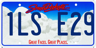 SD license plate 1LSE29