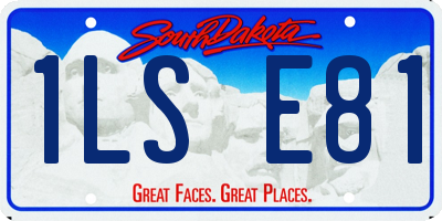 SD license plate 1LSE81