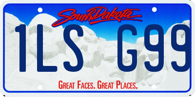 SD license plate 1LSG99