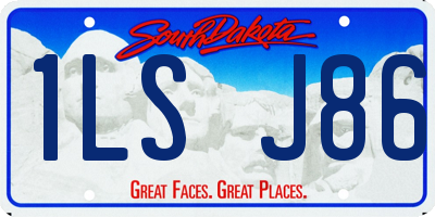 SD license plate 1LSJ86