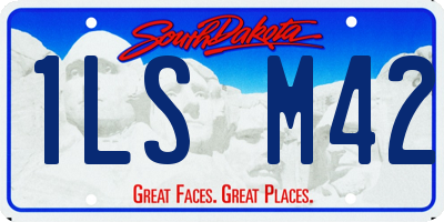 SD license plate 1LSM42