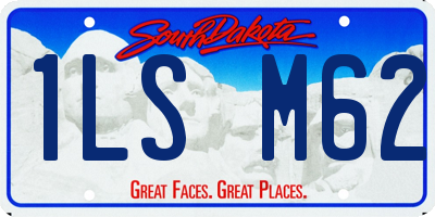 SD license plate 1LSM62