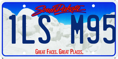 SD license plate 1LSM95
