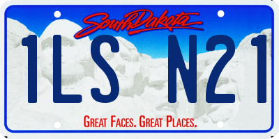SD license plate 1LSN21