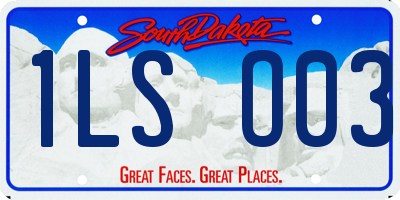 SD license plate 1LSO03