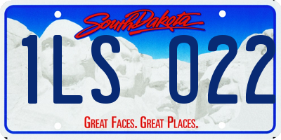 SD license plate 1LSO22