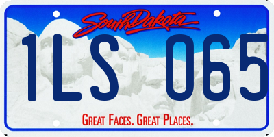SD license plate 1LSO65