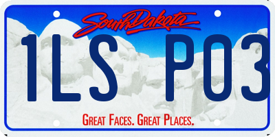 SD license plate 1LSP03