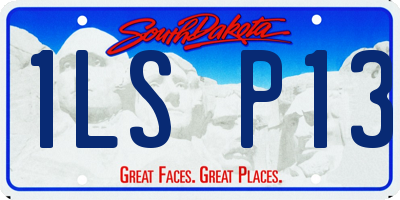 SD license plate 1LSP13