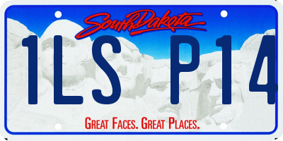 SD license plate 1LSP14