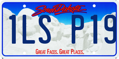 SD license plate 1LSP19