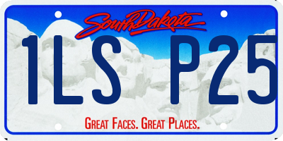 SD license plate 1LSP25