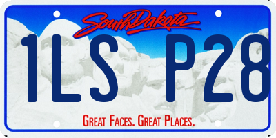 SD license plate 1LSP28