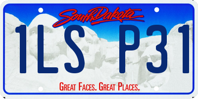 SD license plate 1LSP31