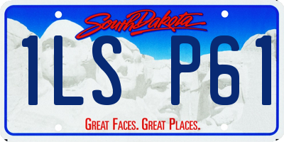 SD license plate 1LSP61